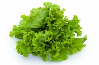 salad-bowl-lettuce